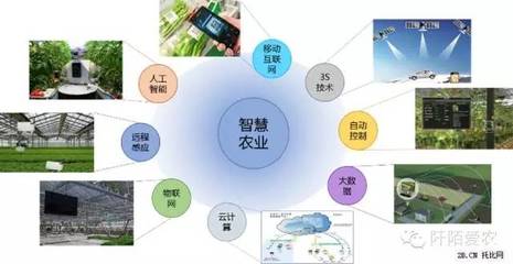 “互聯(lián)網(wǎng)+農(nóng)業(yè)” 10萬(wàn)億市場(chǎng)的軟件開(kāi)發(fā)機(jī)遇